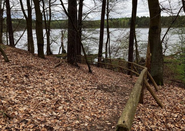 Wanderweg führt zum See hin, Foto: Jörg Bartz, Lizenz: TV Ruppiner Seenland e.V. Wanderweg führt zum See hin, Foto: Jörg Bartz, Lizenz: TV Ruppiner Seenland e.V.