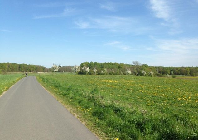 Radweg bei Friedrichswalde, Foto: Alena Lampe, Lizenz: Amt Burg (Spreewald)
