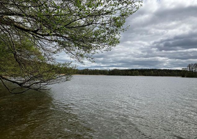 Blick auf den Moderfitzsee, Foto: Jörg Bartz, Lizenz: TV Ruppiner Seenland e.V. Blick auf den Moderfitzsee, Foto: Jörg Bartz, Lizenz: TV Ruppiner Seenland e.V.