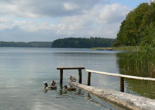 Der Stechlinsee, Foto: TMB/Robby Kupfer