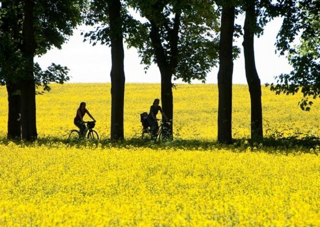 Naturpark Stechlin - Ruppiner Land