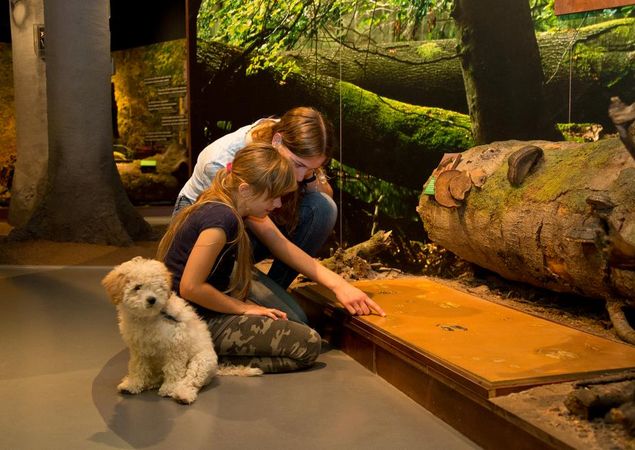 Naturerlebnis mit der ganzen Familie im Müritzeum, Foto: Mirko Runge, Lizenz: Müritzeum gGmbH Naturerlebnis mit der ganzen Familie im Müritzeum, Foto: Mirko Runge, Lizenz: Müritzeum gGmbH