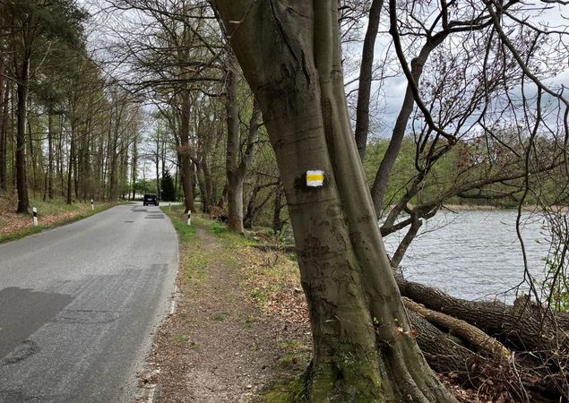 Wanderweg entlang der Straße für einen kleinen Abschnitt, Foto: Jörg Bartz, Lizenz: TV Ruppiner Seenland e.V. Wanderweg entlang der Straße für einen kleinen Abschnitt, Foto: Jörg Bartz, Lizenz: TV Ruppiner Seenland e.V.