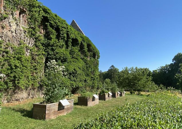 Hochbeete Klostergarten, Foto: Elisabeth Kluge , Lizenz: Tourist-Information Zehdenick