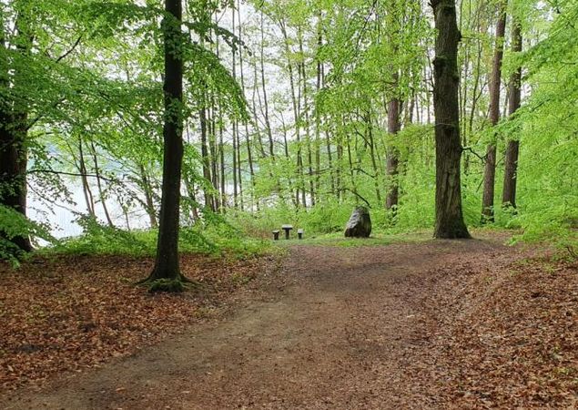 Weg zur Badestelle am Peetschsee, Foto: REGiO Nord Tammer