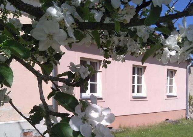 Blüten vorm Gut Zernikow, Foto: Tourismusverband Ruppiner Seenland e.V. , Lizenz: Tourismusverband Ruppiner Seenland e.V. Blüten vorm Gut Zernikow, Foto: Tourismusverband Ruppiner Seenland e.V. , Lizenz: Tourismusverband Ruppiner Seenland e.V.