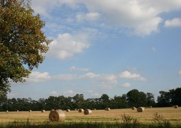 Naturpark Stechlin - Ruppiner Land