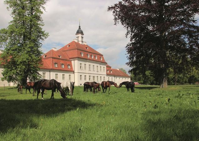 Hauptgestüt, Foto: Landkreis OPR, Lizenz: SBHLG Hauptgestüt, Foto: Landkreis OPR, Lizenz: SBHLG