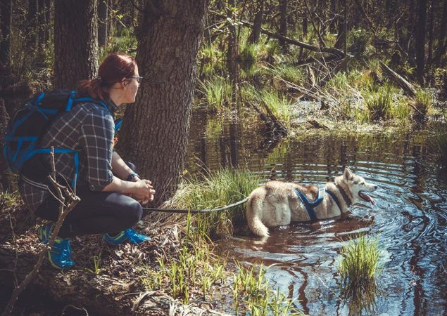 Husky am Wasser, Foto: J. Friedrich Husky am Wasser, Foto: J. Friedrich