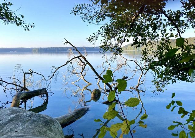 Morgenstimmung am Stechlinsee, Foto: Itta Olaj, Lizenz: Tourismusverband Ruppiner Seenland e. V.