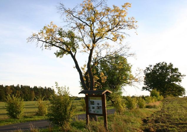 Allee rund um Gut Zernikow, Foto: Tourismusverband Ruppiner Seenland e.V. , Lizenz: Tourismusverband Ruppiner Seenland e.V. Allee rund um Gut Zernikow, Foto: Tourismusverband Ruppiner Seenland e.V. , Lizenz: Tourismusverband Ruppiner Seenland e.V.
