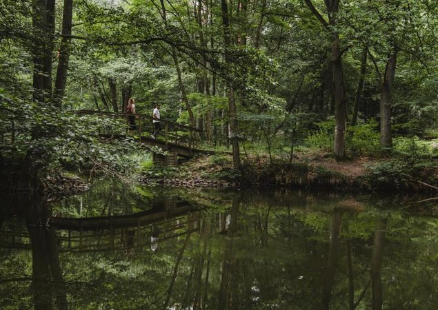 Hegensteinbach, Foto: Madlen Krippendorf, Lizenz: Stadt Fürstenberg/Havel Hegensteinbach, Foto: Madlen Krippendorf, Lizenz: Stadt Fürstenberg/Havel