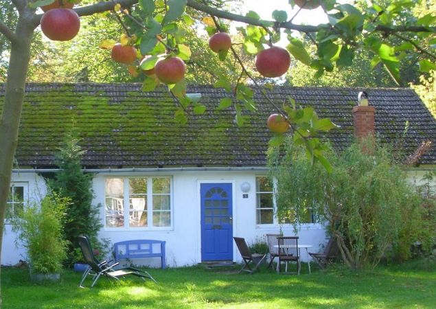 Little Lindens - Außenansicht, Foto: Fam. Davis