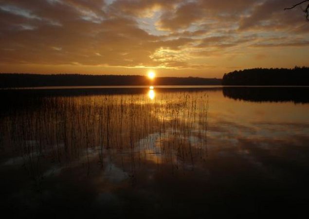 Der Stechlinsee, Foto: Tourismusverband Ruppiner Seenland