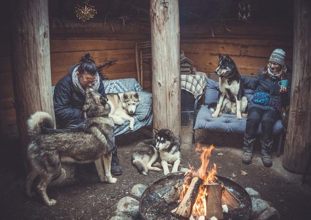 Huskys am Feuer, Foto: J. Friedrich Huskys am Feuer, Foto: J. Friedrich