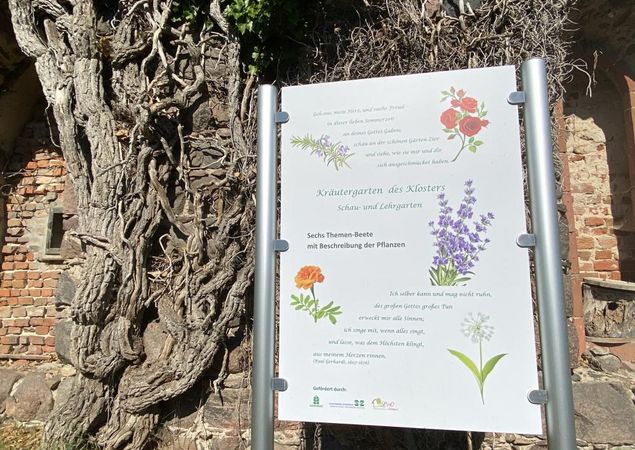 Kräutergarten, Foto: Elisabeth Kluge, Lizenz: Tourist-Information Zehdenick Kräutergarten, Foto: Elisabeth Kluge, Lizenz: Tourist-Information Zehdenick