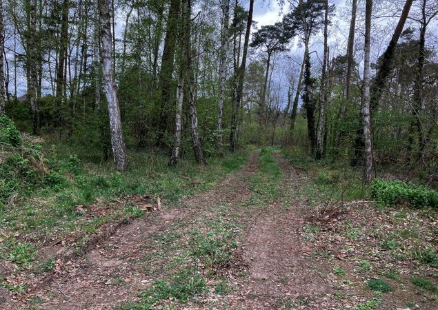 Vom Parkplatz zum Rundweg um den Sidowsee, Foto: Jörg Bartz, Lizenz: TV Ruppiner Seenland e.V. Vom Parkplatz zum Rundweg um den Sidowsee, Foto: Jörg Bartz, Lizenz: TV Ruppiner Seenland e.V.