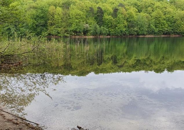 Badestelle am Peetschsee, Foto: REGiO Nord Tammer