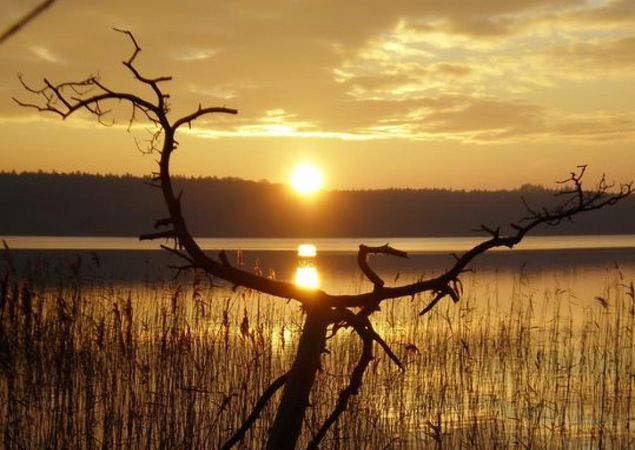 Der Stechlinsee, Foto: Tourismusverband Ruppiner Seenland