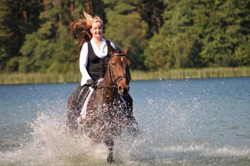 Reiten