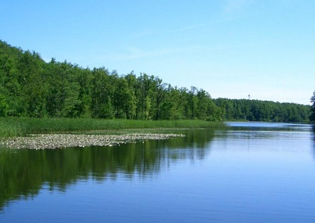 Seenlandschaft bei Fürstenberg/Havel, Foto: Geertje Wieck Seenlandschaft bei Fürstenberg/Havel, Foto: Geertje Wieck