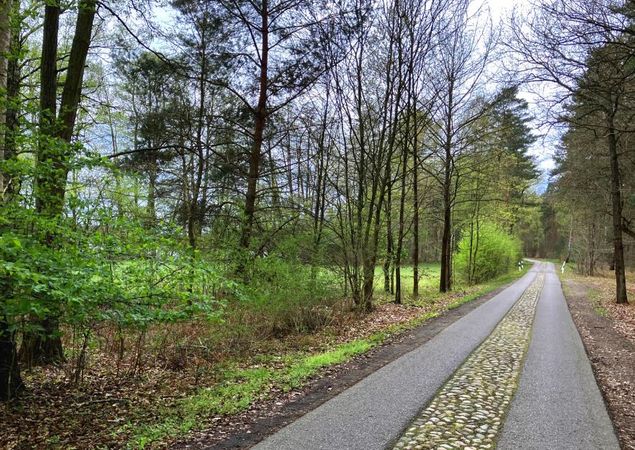 Die Wegführung auf dem letzten Drittel, Foto: Jörg Bartz, Lizenz: TV Ruppiner Seenland e.V.