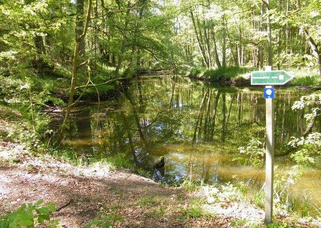 Wanderung um den Hegensteinbach, Foto: TI Fürstenberg/Havel, Lizenz: TI Fürstenberg/Havel Wanderung um den Hegensteinbach, Foto: TI Fürstenberg/Havel, Lizenz: TI Fürstenberg/Havel
