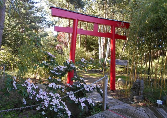 Bambushain, Foto: Exotik-Kunst-Garten