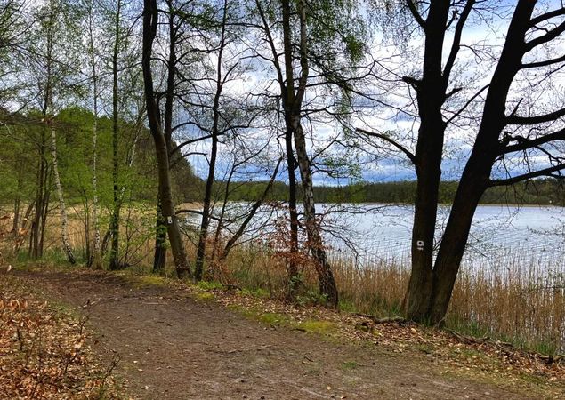 Weg mit Seeblick, Foto: Jörg Bartz, Lizenz: TV Ruppiner Seenland e.V.
