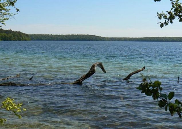 Der Stechlinsee, Foto: TMB/Robby Kupfer