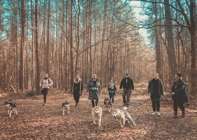 Husky Trekking, Foto: J. Friedrich Husky Trekking, Foto: J. Friedrich