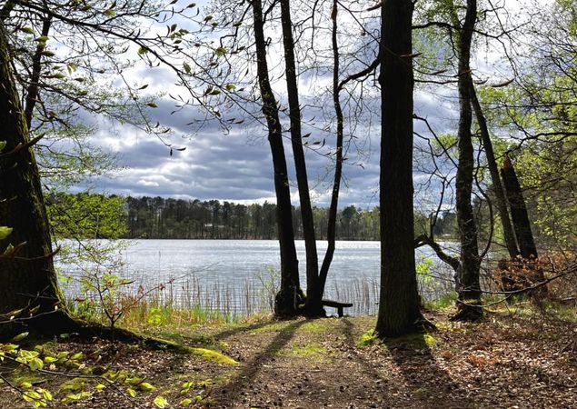 Seeblick, Foto: Jörg Bartz, Lizenz: TV Ruppiner Seenland e.V.
