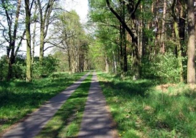 Landschaft bei Nauen, Foto: TMB Tourismus-Marketing Brandenburg GmbH, Lizenz: TMB Tourismus-Marketing Brandenburg GmbH Landschaft bei Nauen, Foto: TMB Tourismus-Marketing Brandenburg GmbH, Lizenz: TMB Tourismus-Marketing Brandenburg GmbH