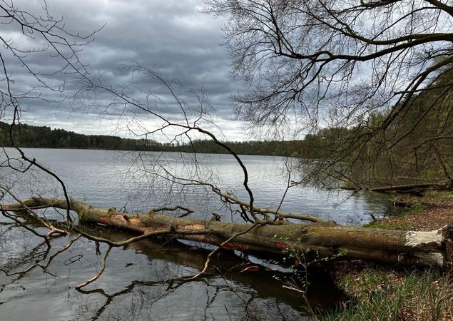Blick auf den Sidowsee vom gegenüber liegendem Ufer, Foto: Jörg Bartz, Lizenz: TV Ruppiner Seenland e.V. Blick auf den Sidowsee vom gegenüber liegendem Ufer, Foto: Jörg Bartz, Lizenz: TV Ruppiner Seenland e.V.