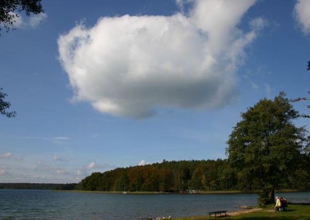 Der Stechlinsee, Foto: Tourismusverband Ruppiner Seenland