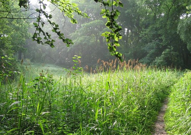 Ostufer vom Baalensee , Foto: Stadt Fürstenberg/Havel, Lizenz: Stadt Fürstenberg/Havel Ostufer vom Baalensee , Foto: Stadt Fürstenberg/Havel, Lizenz: Stadt Fürstenberg/Havel