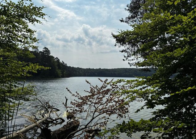 Blick auf den Stechlinsee, Foto: Jörg Bartz, Lizenz: Brandenburgische Seenplatte GmbH