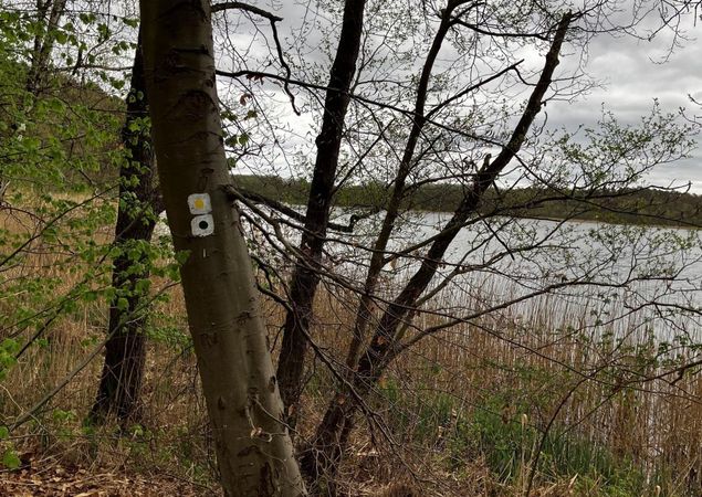 Wegmarkierungen der Wanderstrecke, Foto: Jörg Bartz, Lizenz: TV Ruppiner Seenland e.V. Wegmarkierungen der Wanderstrecke, Foto: Jörg Bartz, Lizenz: TV Ruppiner Seenland e.V.