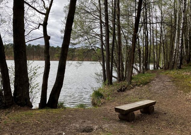 Blick auf den Sidowsee, Foto: Jörg Bartz, Lizenz: TV Ruppiner Seenland e.V. Blick auf den Sidowsee, Foto: Jörg Bartz, Lizenz: TV Ruppiner Seenland e.V.