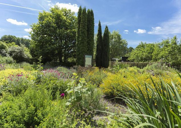 Klosterkräutergarten Himmelpfort, Foto: TMB-Fotoarchiv/Steffen Lehmann