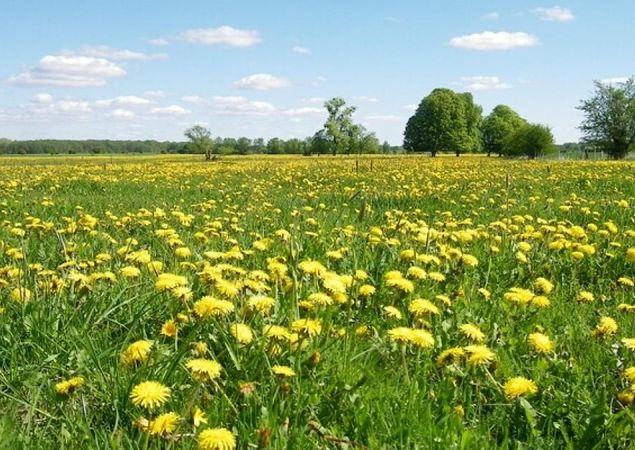 Naturpark Stechlin - Ruppiner Land