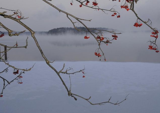 Stechlinsee im Winter, Foto: Michael Feierabend