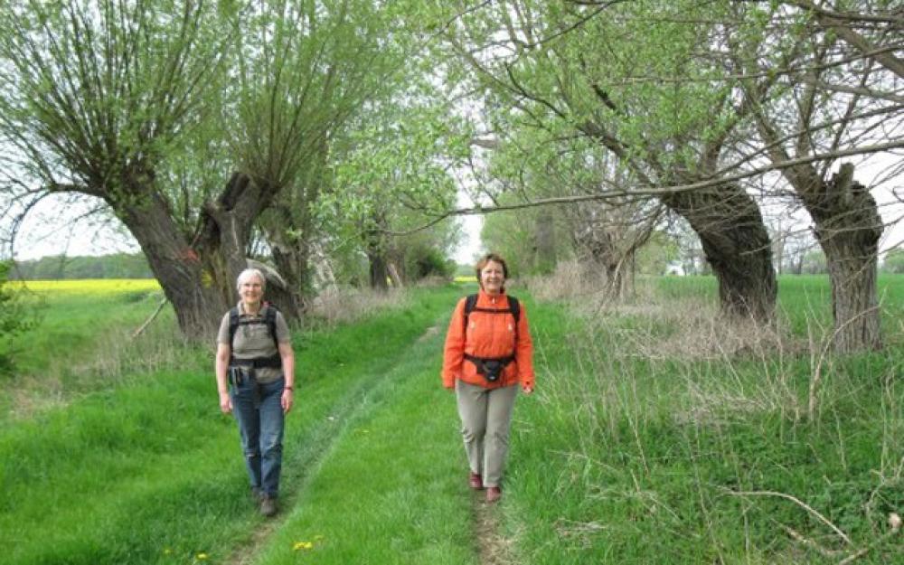 Hinter Barsikow, Foto: Tourismusverband Prignitz e.V. Hinter Barsikow, Foto: Tourismusverband Prignitz e.V.