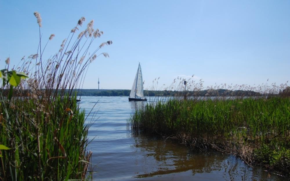Mauerweg Grunewald, Foto: TMB Mauerweg Grunewald, Foto: TMB