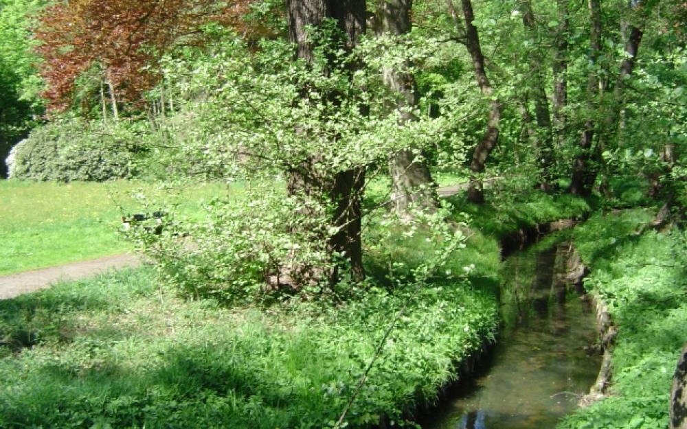 An der Panke, Foto: Hoffmann