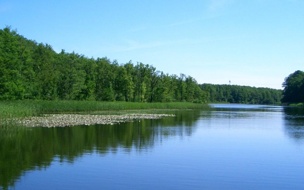 Seenlandschaft bei Fürstenberg/Havel, Foto: Geertje Wieck Seenlandschaft bei Fürstenberg/Havel, Foto: Geertje Wieck