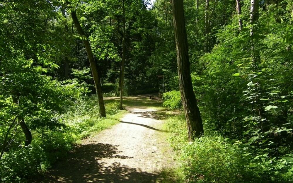 Naturpark Stechlin - Ruppiner Land