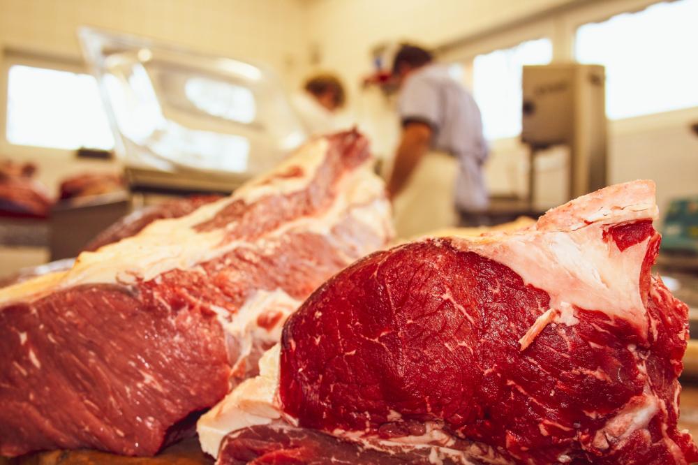Frisch geschlachtetes Rindfleisch vom Wiesenrind aus Bergsdorf, Foto: Agrar GmbH Bergsdorf, Foto: Agrar GmbH Bergsdorf Frisch geschlachtetes Rindfleisch vom Wiesenrind aus Bergsdorf, Foto: Agrar GmbH Bergsdorf, Foto: Agrar GmbH Bergsdorf