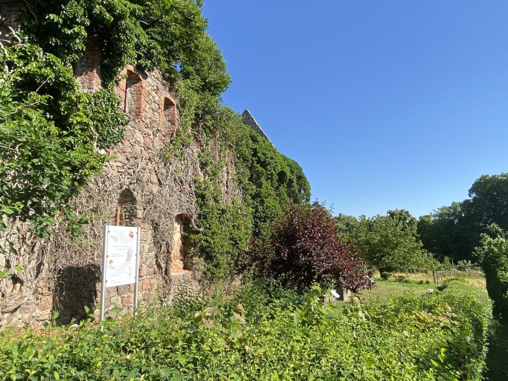 Klostergarten, Foto: Elisabeth Kluge, Lizenz: Tourist-Information Zehdenick Klostergarten, Foto: Elisabeth Kluge, Lizenz: Tourist-Information Zehdenick
