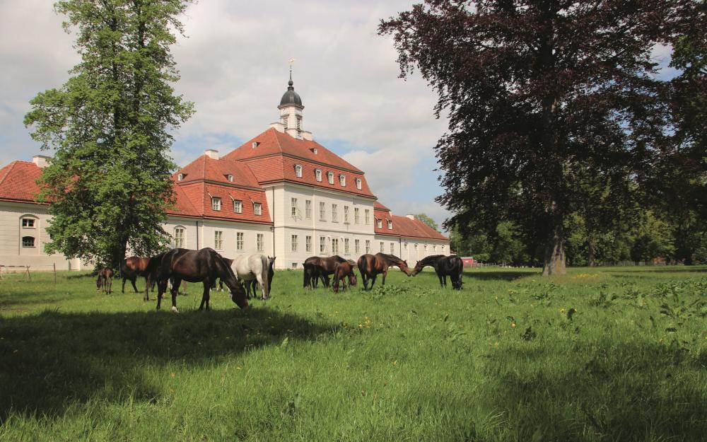 Hauptgestüt, Foto: Landkreis OPR, Lizenz: SBHLG